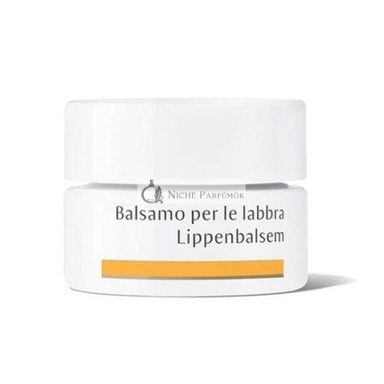 Dr. Hauschka Lip Balm 4.5g
