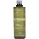 Aveda Botanical Kinetics Treatment Lotion