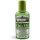 Hollywood Beauty Olive Oil