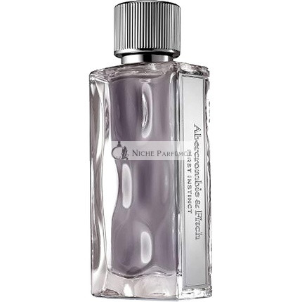 Abercrombie & Fitch First Instinct For Men Eau de Toilette 100ml