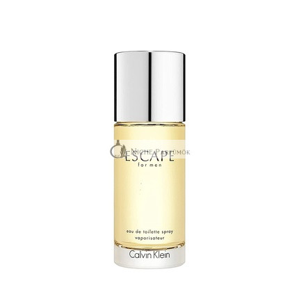 Calvin Klein Escape Men Eau de Toilette Spray 100ml