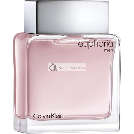 Calvin Klein Euphoria for Men Eau de Toilette 100ml