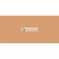   Laura Mercier Tinted Moisturizer Oil Free Natural Skin Perfector 50 Ml
