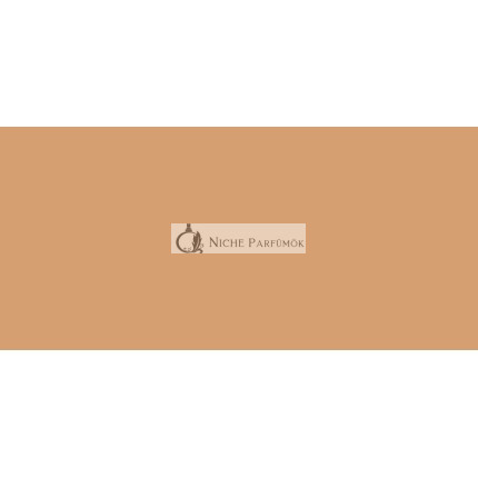 Laura Mercier Tinted Moisturizer Oil Free Natural Skin Perfector 50 Ml