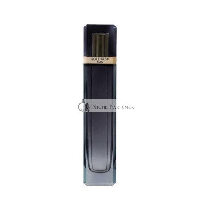Paris Hilton Gold Rush Men EDT 100ml