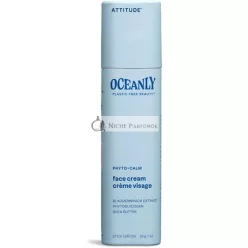   ATTITUDE Oceanly Face Cream Stick EWG Verified Plant and Mineral-Based Ingredients Vegan Skin Care Products PHYTO CALM Unscented 30 grams
