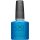 Shellac What's Old Is Blue Again