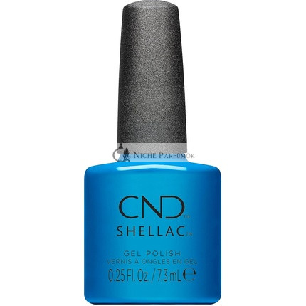Shellac What's Old Is Blue Again