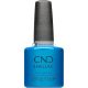 Shellac What's Old Is Blue Again