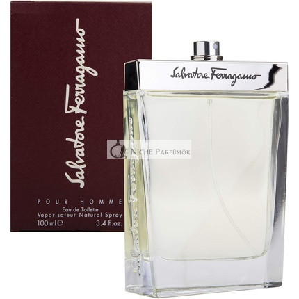 Salvatore Ferragamo for men Eau De Toilette 100ml Spray