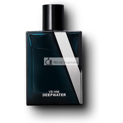 Victoria's Secret Him Platinum Eau De Parfum 100ml