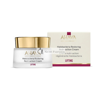 AHAVA Halobacteria Restoring Nutri-Action Cream