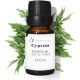 Cypress Essential Oil 10ml Pure Organic 100% Natural Organic Aromatherapy Humidifier