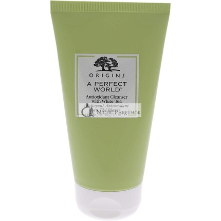 Origins A Perfect World Antioxidant Cleanser