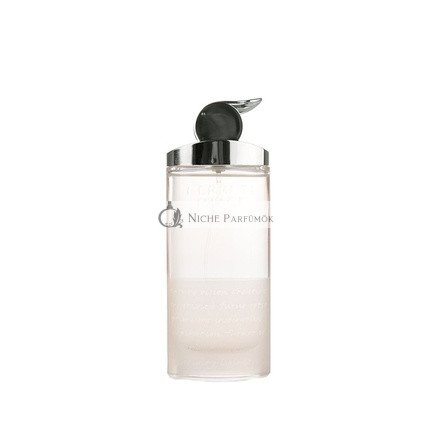 Cerruti Image By Nino Cerruti For Women Eau De Toilette Spray 2.5 Ounces