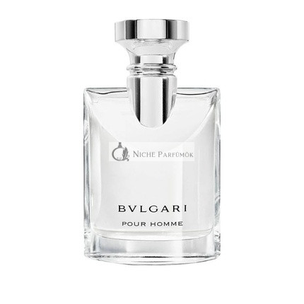 BVLGARI Pour Homme Eau de Toilette Men's Fragrance 50ml