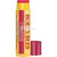 Burt's Bees Pomegranate Moisturizing Lip Balm Blister 4.4ml