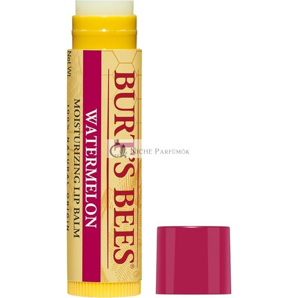 Burt's Bees Watermelon Lip Balm
