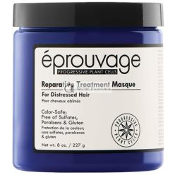 Eprouvage Reparative Treatment Masque 227g