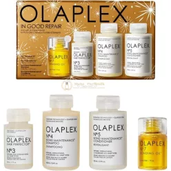 Olaplex In Good Repair Hair Kit
