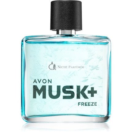 Avon Musk Freeze Eau de Toilette 75 ml for Men