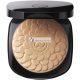 Galénic Teint Lumiere Galenic Tanned Powder