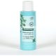Klorane 3 in 1 Purifying Powder With Organic Mint And Clay 50g