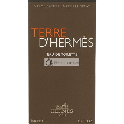 Hermès Terre D'Hermes Eau de Toilette for Men 100 ml
