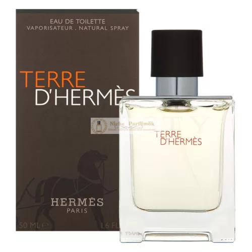 Hermès Terre D'Hermes Eau de Toilette for Men 50 ml