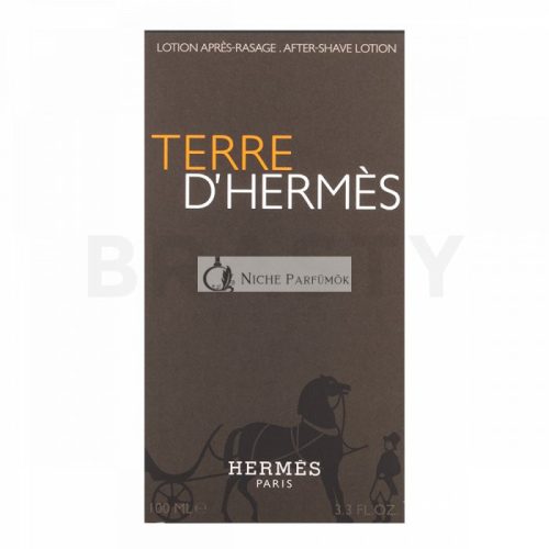 Hermès Terre D'Hermes After Shave for Men 100 ml
