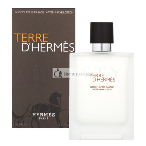 Hermès Terre D'Hermes After Shave for Men 100 ml
