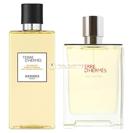 Hermes Terre D'Hermes 2-Darabos Ajándék Szett 100 ml Eau Givree Eau De Parfum Spray