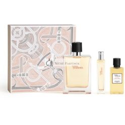 Terre D'Hermes Eau De Toilette 100 Ml Gift Set