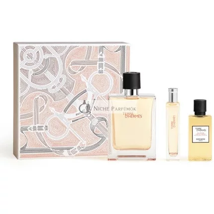 Terre D'Hermes Eau De Toilette 100 Ml Gift Set