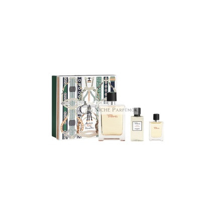 Terre d'Hermes Eau de Toilette Spray 100ml
