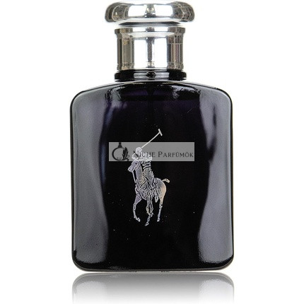 Ralph Lauren Polo Black Eau de Toilette for Men 75 ml