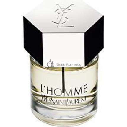 Yves Saint Laurent L'Homme Eau de Toilette for Men 200 ml