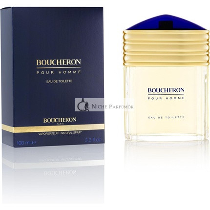 Boucheron Pour Homme Eau de Toilette Spray for Him 100ml