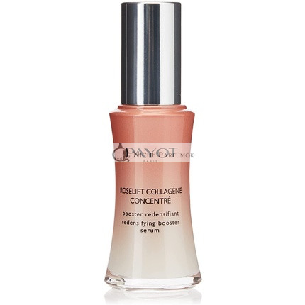 Payot Rose Lift Collagen Concentrate 30ml