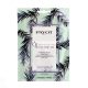 Payot Paris Teens Dream Unisex Adult 15 Units - Black