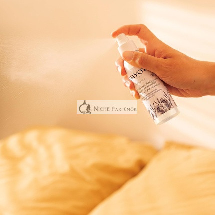 Payot Herbier Brume d'Intérieur Beinfaisante 100 ml