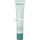Payot Pâte Grise Tinted Perfecting Cream SPF30 40ml