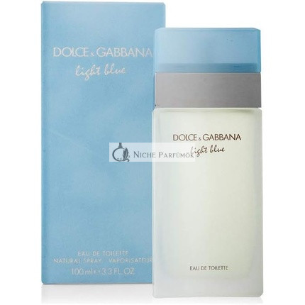Dolce & Gabbana Light Blue Eau de Toilette for Women 100ml