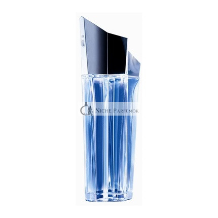 Thierry Mugler Angel Eau De Perfume 100ml