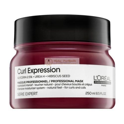 L'Oréal Professionnel Curl Expression Professional Mask for Wavy and Curly Hair 250 ml