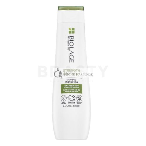 Matrix Biolage Strength Recovery Shampoo Strengthening Shampoo for Weak Hair 250 ml