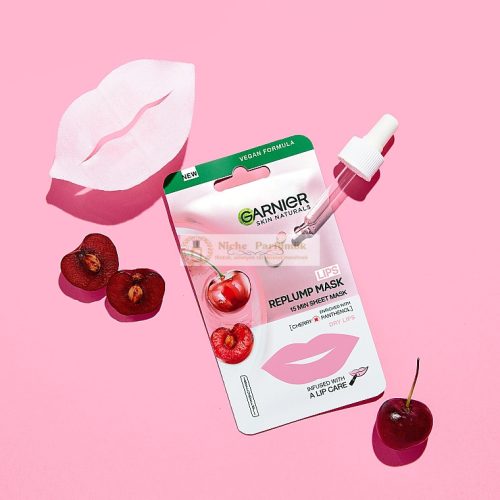 Garnier Skin Active Plumping Lip Mask