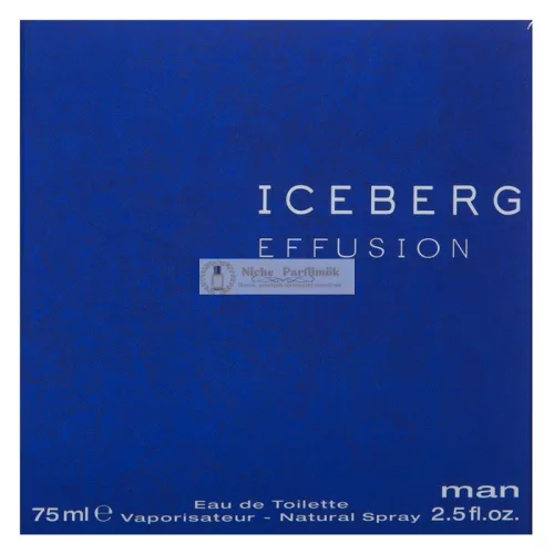 Iceberg Effusion Man Eau de Toilette for Men 75 ml