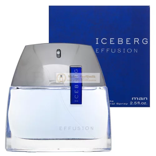 Iceberg Effusion Man Eau de Toilette for Men 75 ml