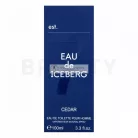 Iceberg Eau de Iceberg Cedar Eau de Toilette for Men 100 ml
